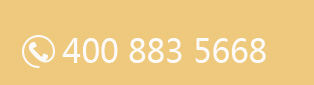 4008835668